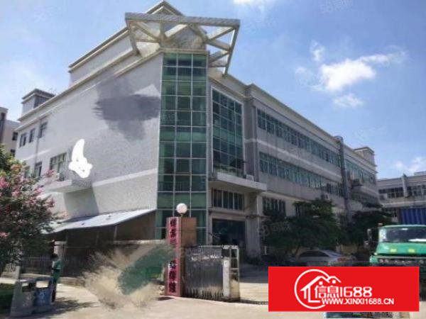 沙四高新科技园楼上1800平转租价格美丽