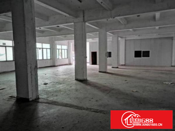 清溪铁松村原房东出租一楼厂房仓库600平方米