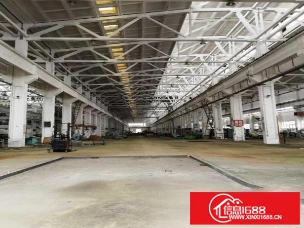 坪山石井新出滴水10米钢构厂房3000平招租（可分租）