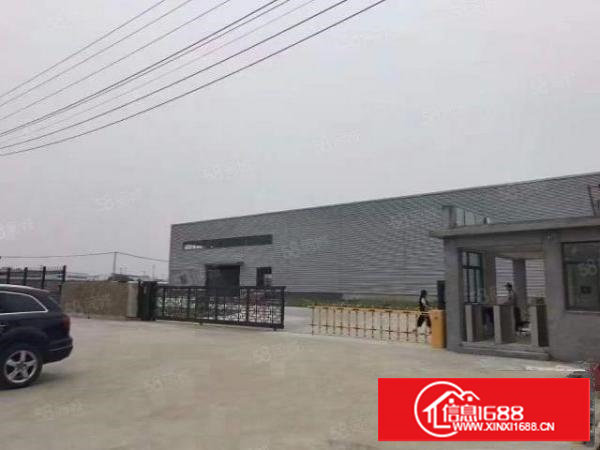 原房东独院钢构11000平，超空地12000平，滴水10米