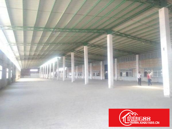 惠阳新圩新出3000平独院钢构厂房滴水8米出租