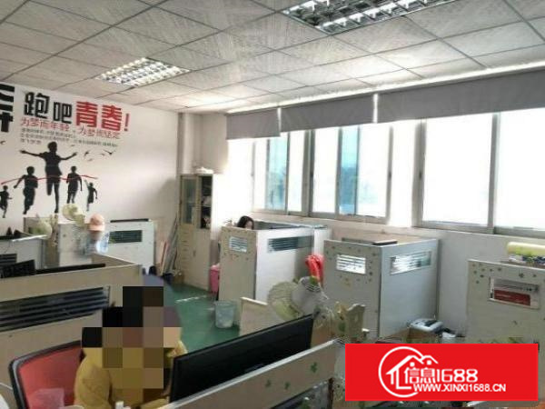 分租宝安石岩应人石的厂房（个人）