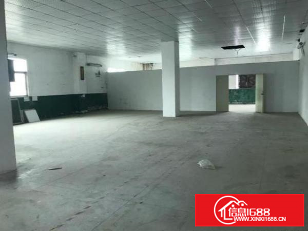 新田新樟路楼上600平带办公室装修，带电梯，有院子，交通便利