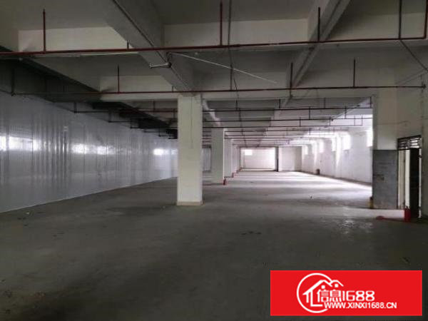 横沥镇新出原房东，价格优惠