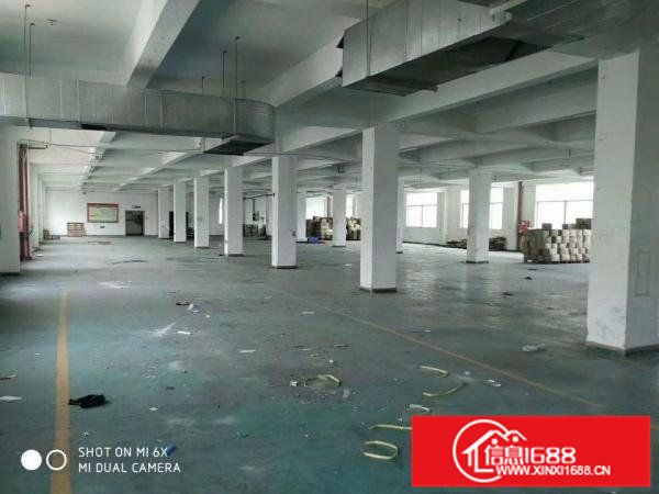 坪地中心村厂房1550平米出租
