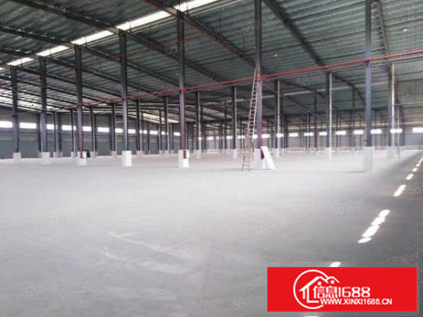 寮步原房东独院3000平方单一层滴水7米高只租18