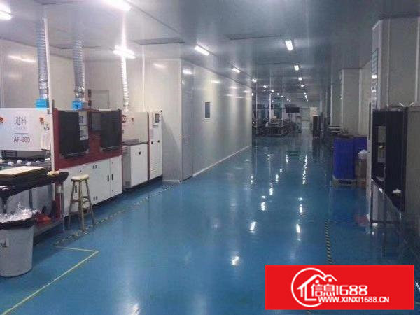 大朗镇区厂房800平米