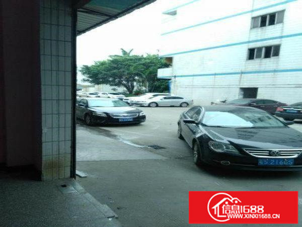 坑梓秀新光祖中学附近新出一楼580平高4.8米招租