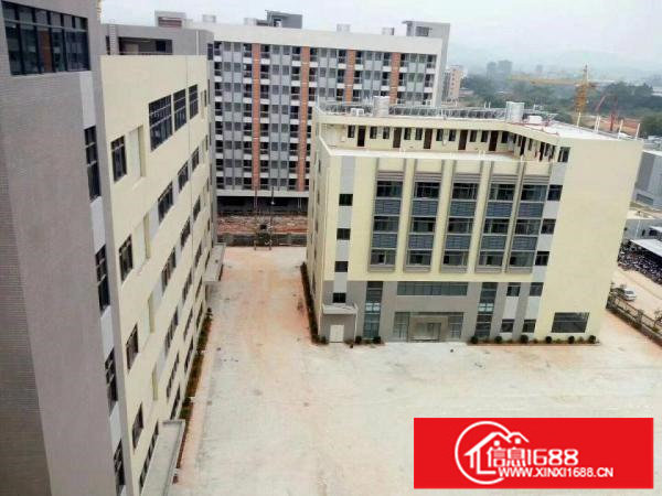 龙岗横岗新出原房东独院13000平带装修有消防喷淋