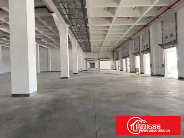 长安沙头社区800平米标准一楼厂房带办公室豪华装修价格漂亮