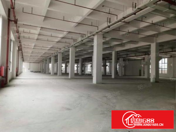 石碣标准一楼5500方（可分租高7米带牛角位好办环评）