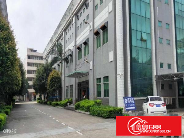 东莞常平原房东标准独门独院红本厂房20000平方