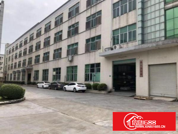 茶山刘黄村标准厂房一楼700平招租