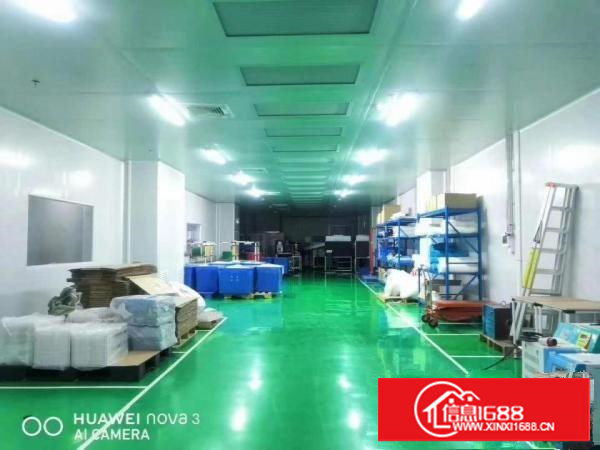 乌沙二楼新空出350平豪华装修搬进即可生产抢手房源出租