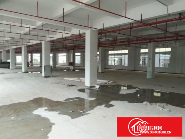 三栋大型工业园带电梯2900平方出租可分租