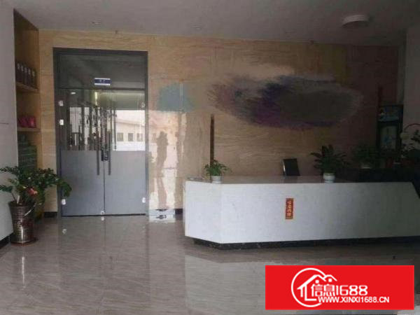 五联楼上厂房800平方厂房出租全新地坪漆