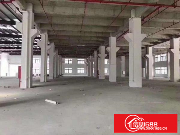 现成办公，独门院，可办环评，容桂5000方厂房出租