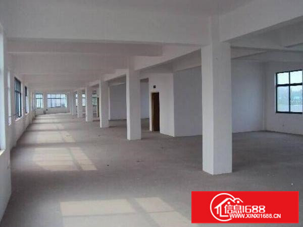 黄泥塘新出原房东厂房招租啦！