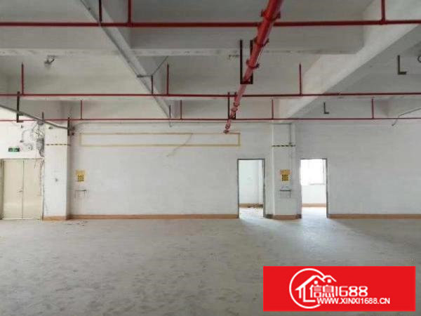布吉李朗新出11000平方带卸货平台厂房仓库招租