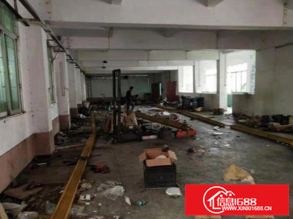 长龙一楼1250平招租可办环评精装修办公室