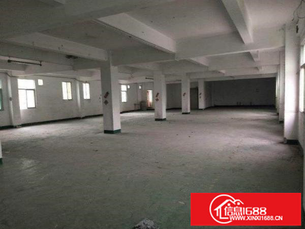 龙岗独院厂房三层2800平底价出租