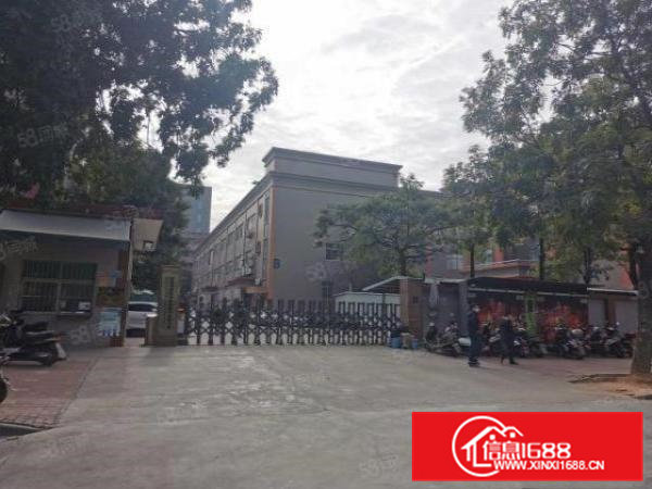 大朗新出原房东花园市标准独院厂房出租独立办公楼工业用地