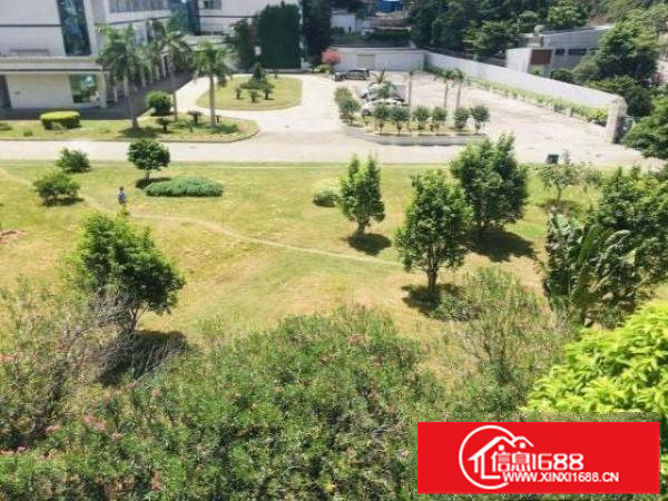 龙岗区横岗塘坑地铁站旁边大马路边楼上现成展厅800平