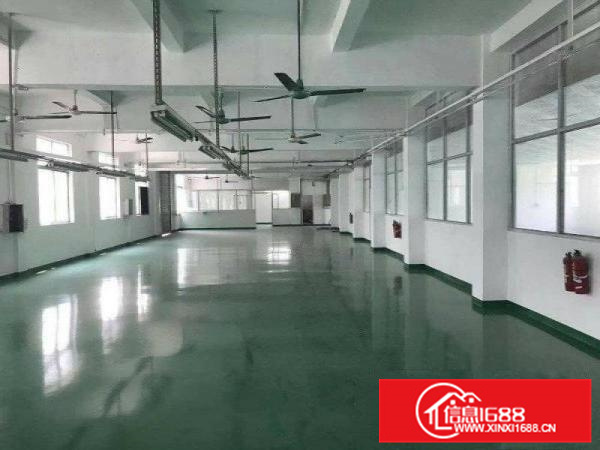 秋长新出小独院厂房3600平宿舍1480平，有电梯