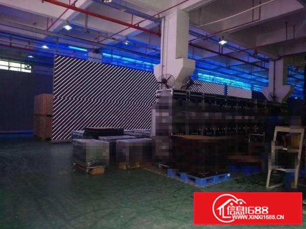 平湖25元一楼1500平5米高厂房出租