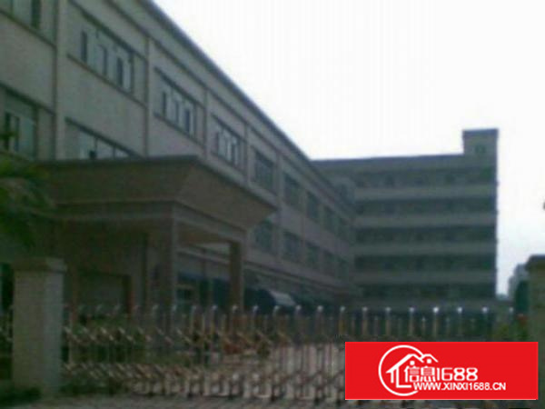 万江带现成装修标准一楼600或1000平方招租滴水8米高