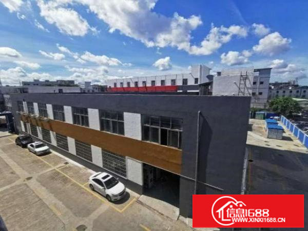 松岗大田洋楼上带装修580平采光好