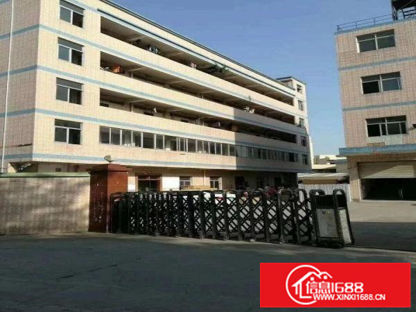 龙岗新生北通道边原房东独院5580平空地2000平