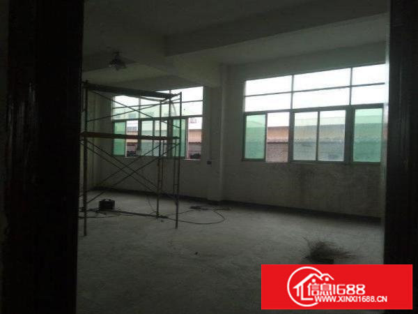 龙岗原房东一楼360平出租