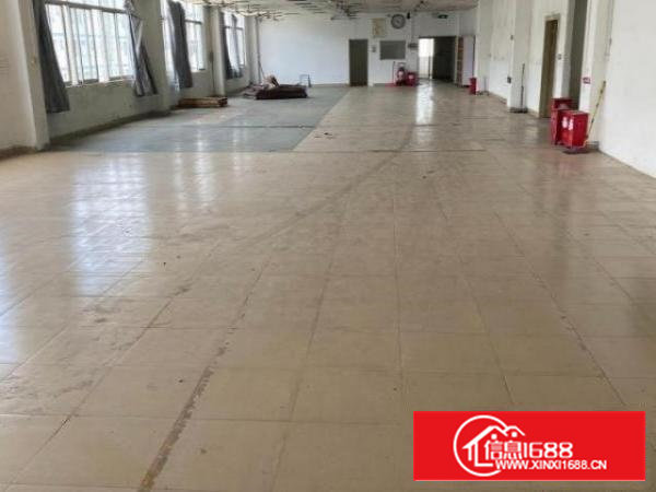 宝安沙井业主厂房招租