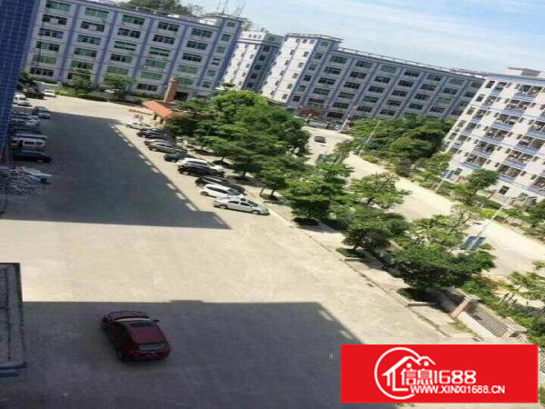 坂田一楼厂房250平500平3000平可分租