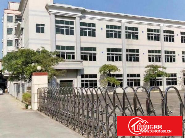 清溪三中标准厂房一楼1380平方带水电装修急租