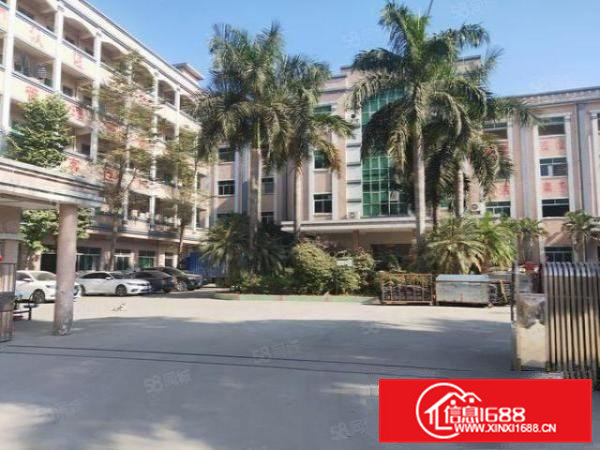 大朗镇洋乌村升平路233号一楼1200平方出租