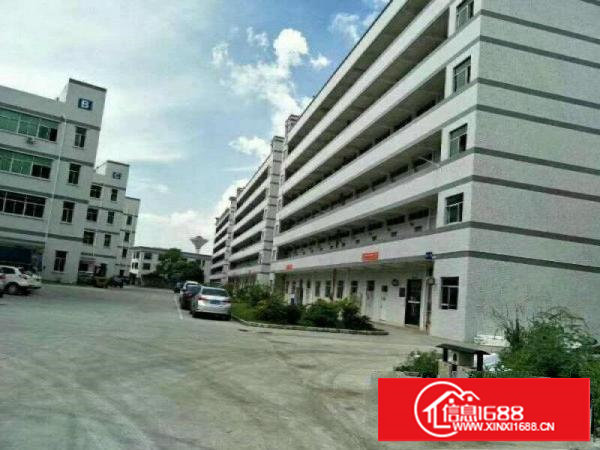 塘厦田心新出楼上标准厂房600平方