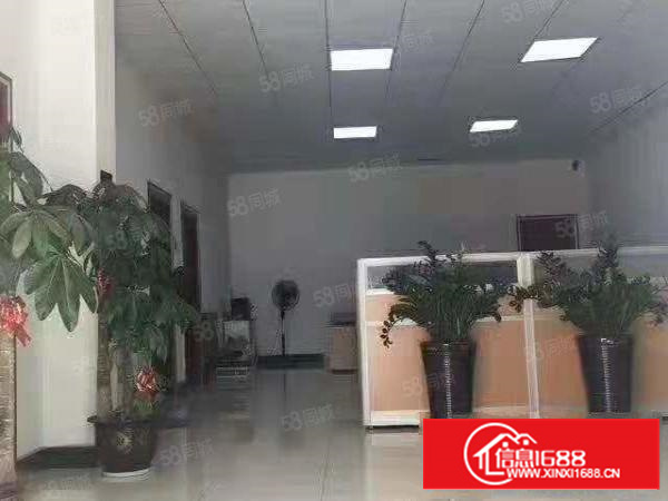 茶山镇新出480平方精装修厂房，位置好空地大，易招工。