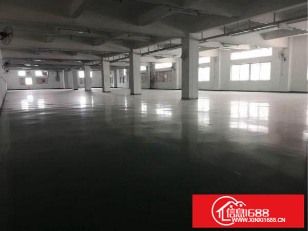 塘坑地铁站旁边新装修厂房单层916平，138平起租