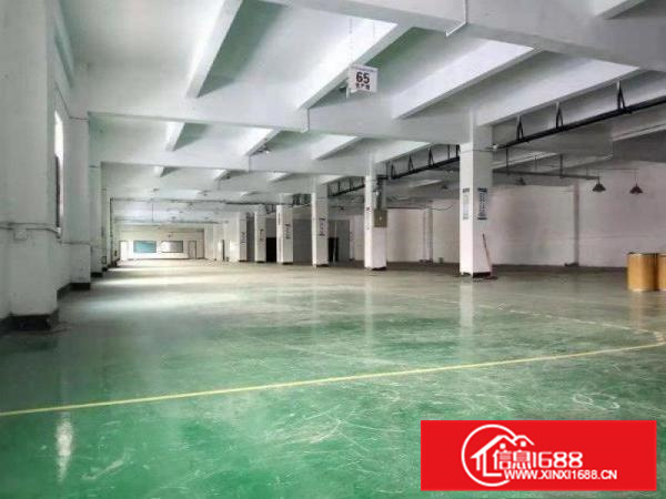 龙溪街道一楼标准850平厂房出租带装修现成水电办公室