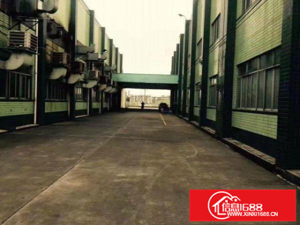 惠阳新圩原房东单一层钢结构红本厂房分栋、整体招租