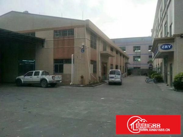 龙岗新出2400平米独栋钢构厂房