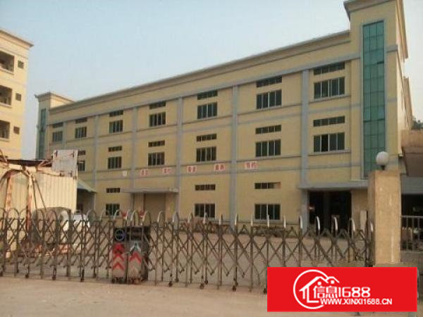 凤岗新出4000平方米独院厂房出租