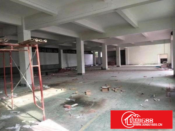 出租大朗圣堂新出原房东标准厂房一楼1200平米，可办环评