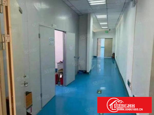 黄江二楼1200无尘车间北岸出租