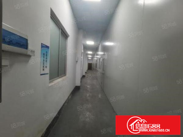 园洲工业区新出单一层1000平，现成食品无尘车间，豪华装修