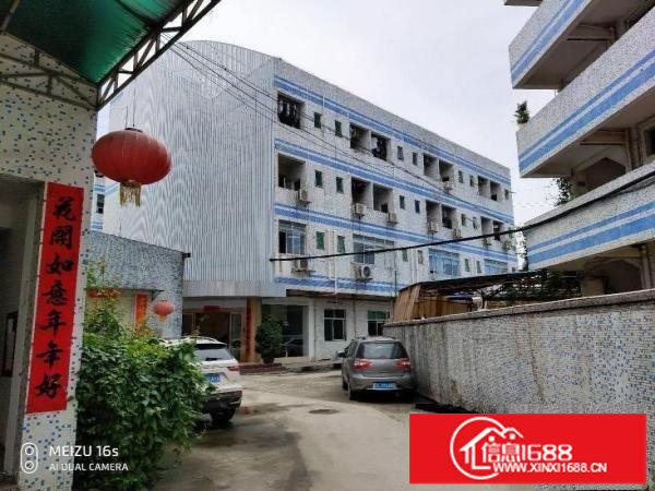 龙岗爱联独门独院标准厂房带现成装修出租