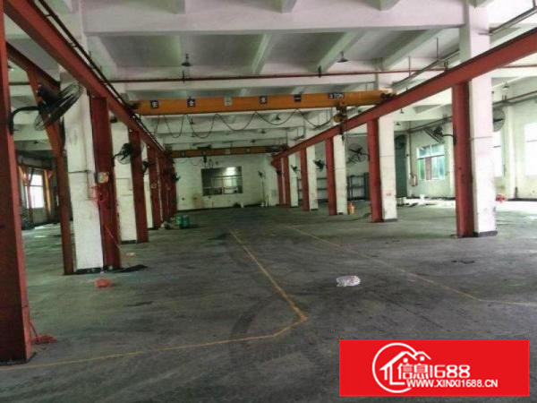 常平总面积7800平米独院厂房，一楼6.5米