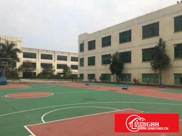 石岩原房东出租5800平米独门独院一楼6米高，有装修实际